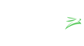 Rabbot__